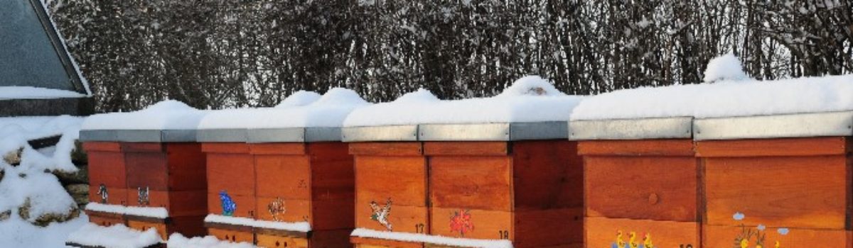 Der Bienenzuchtverein Amberg e.V. wünscht frohe Festtage und ein glückliches Neues Jahr 2019