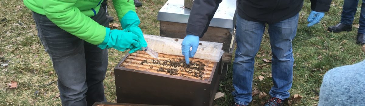 Neuimkerkurs 2018 – Winterbehandlung