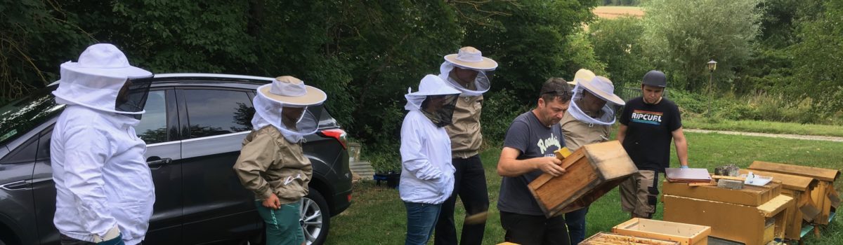 Neuimkerkurs 2019 – Spätsommerpflege Teil 2