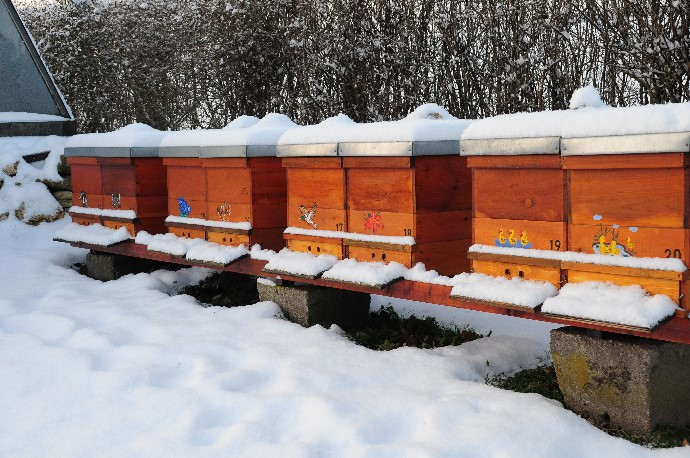 Bienen Winter